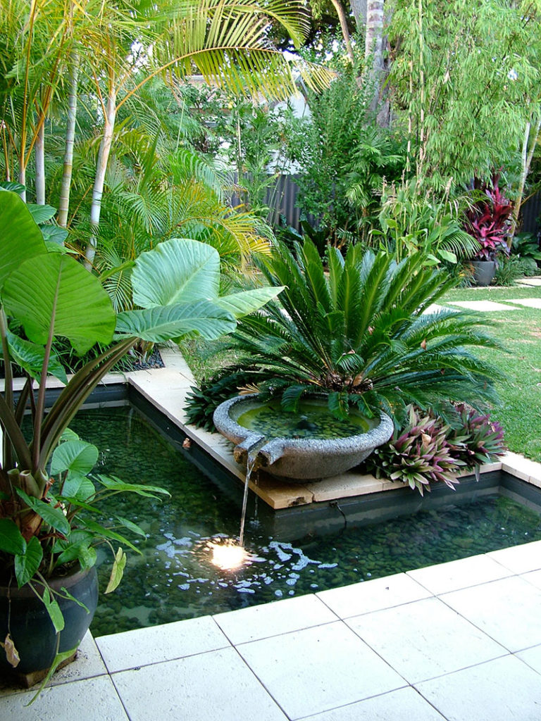 tropical garden designs for small gardens