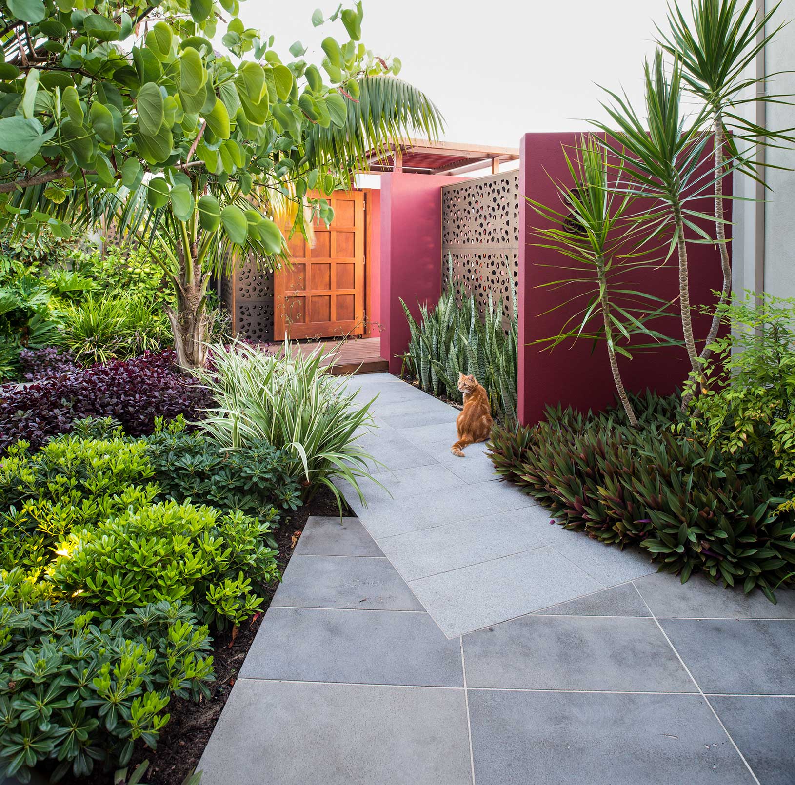 entry garden with tropical planting north beach perth with gatehouse and timber panels and granite paving