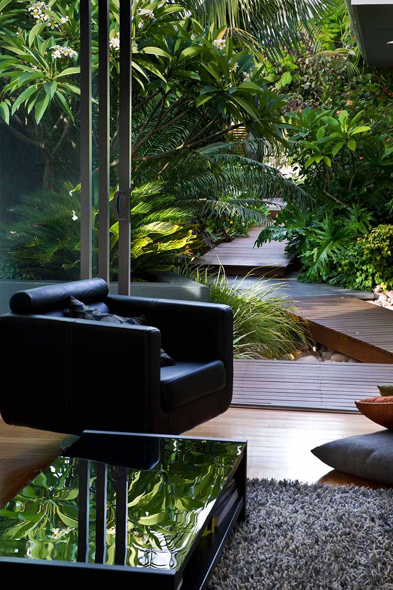 black chair overlooking tropical garden