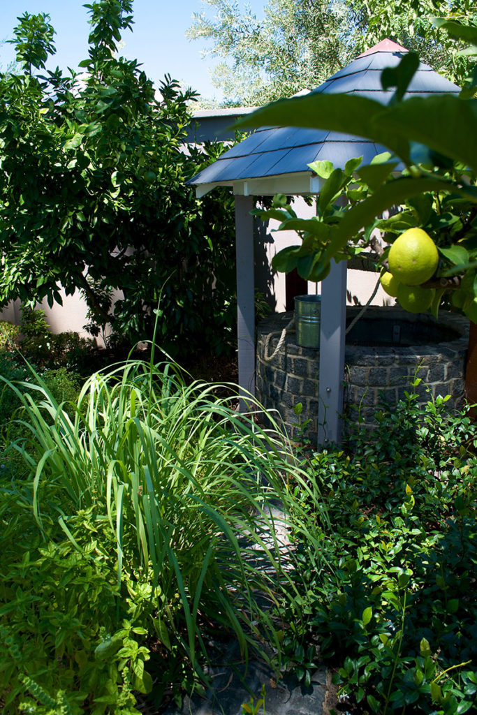Fruit tree in lush garden with wishing well