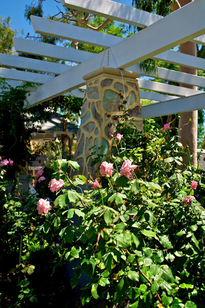 rose garden and arbour