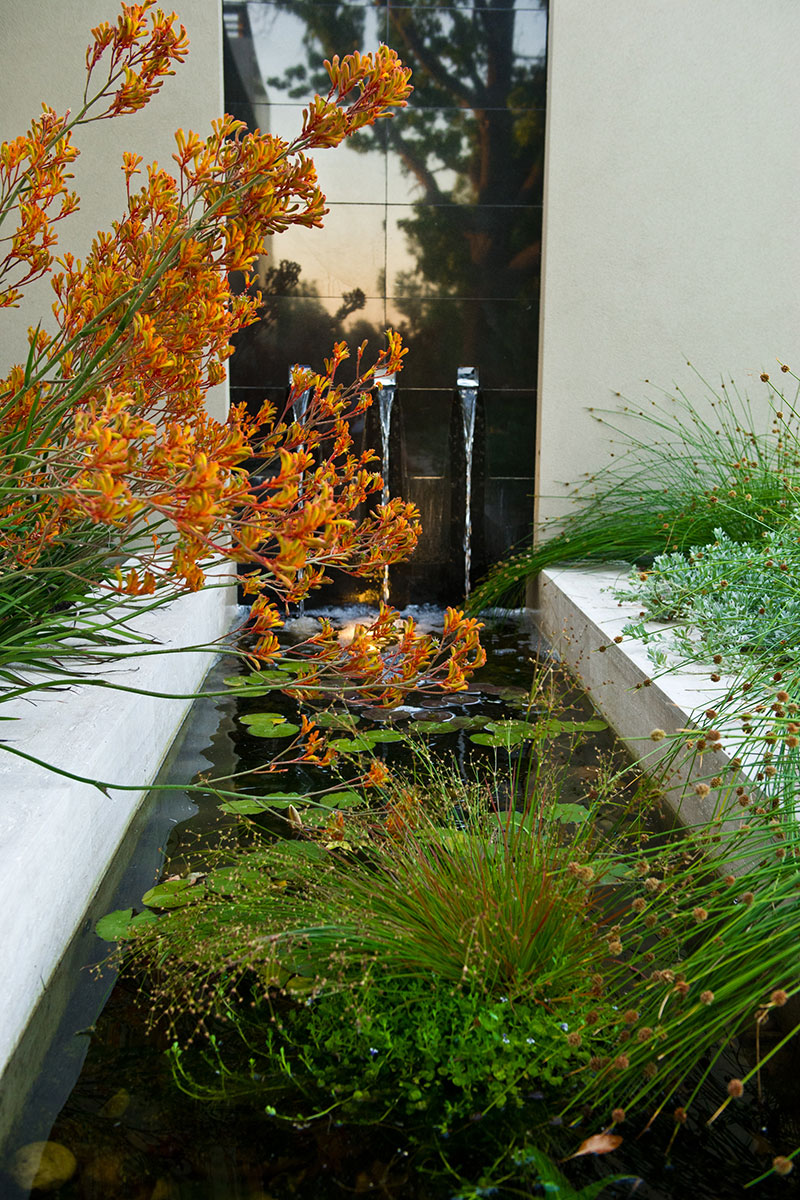 Creative water feature design with polished granite and australian native plants
